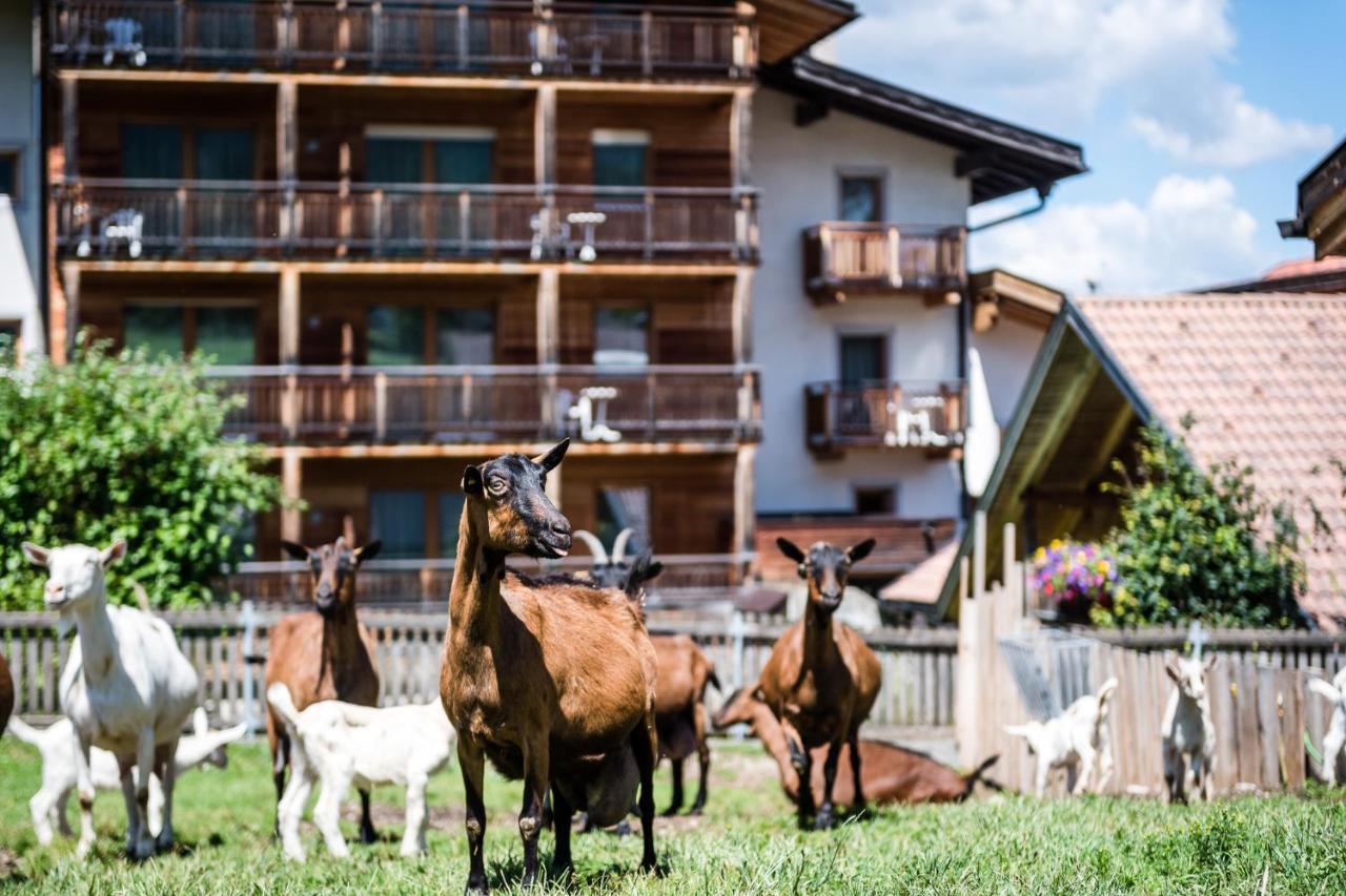 Sporthotel Exclusive San Vigilio Di Marebbe Eksteriør billede